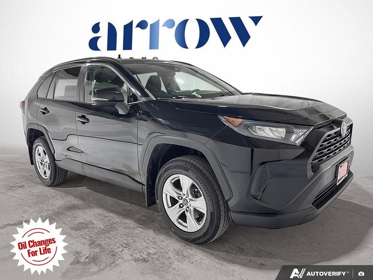2019 Toyota RAV4 AWD LE Photo