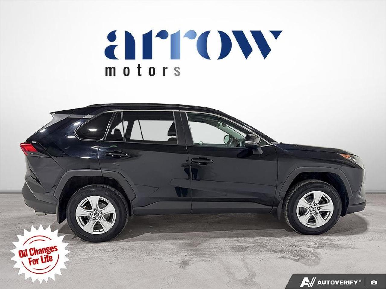 2019 Toyota RAV4 AWD LE Photo
