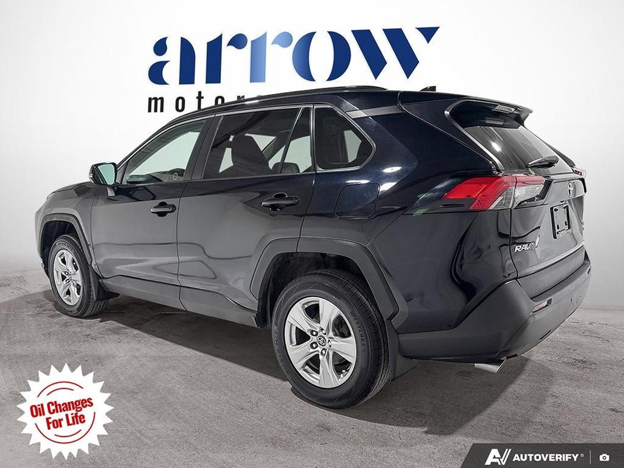 2019 Toyota RAV4 AWD LE Photo