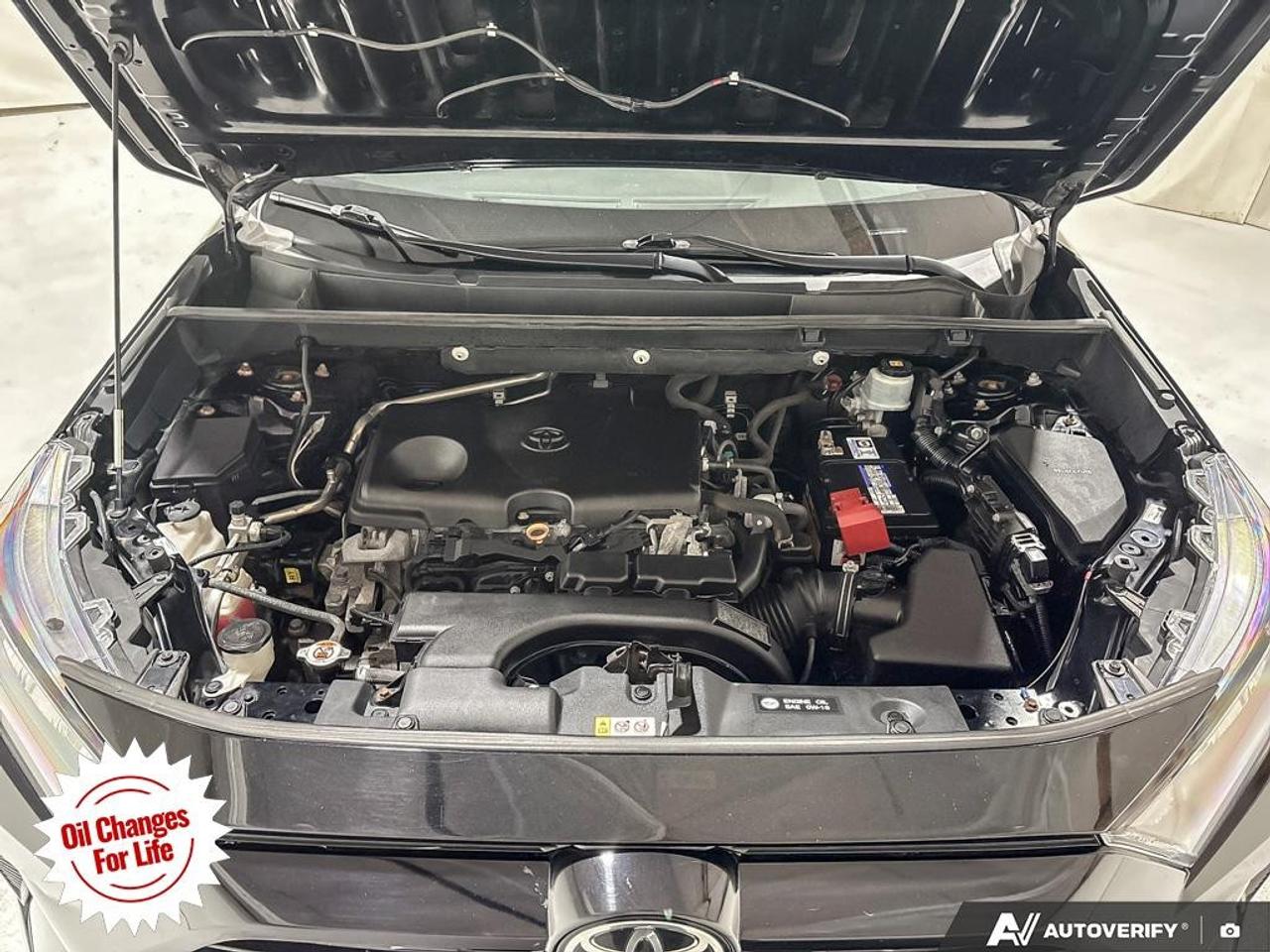 2019 Toyota RAV4 AWD LE Photo