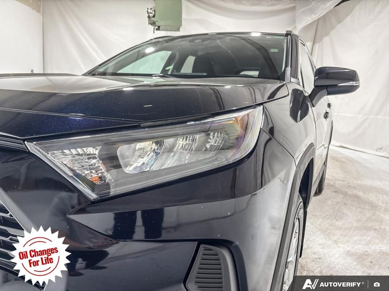 2019 Toyota RAV4 AWD LE Photo
