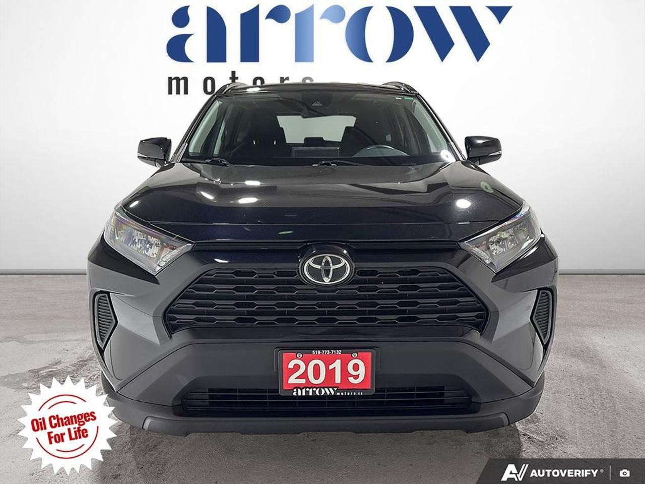 2019 Toyota RAV4 AWD LE Photo