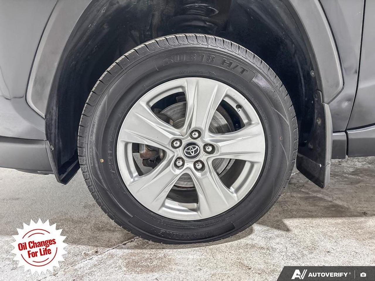 2019 Toyota RAV4 AWD LE Photo
