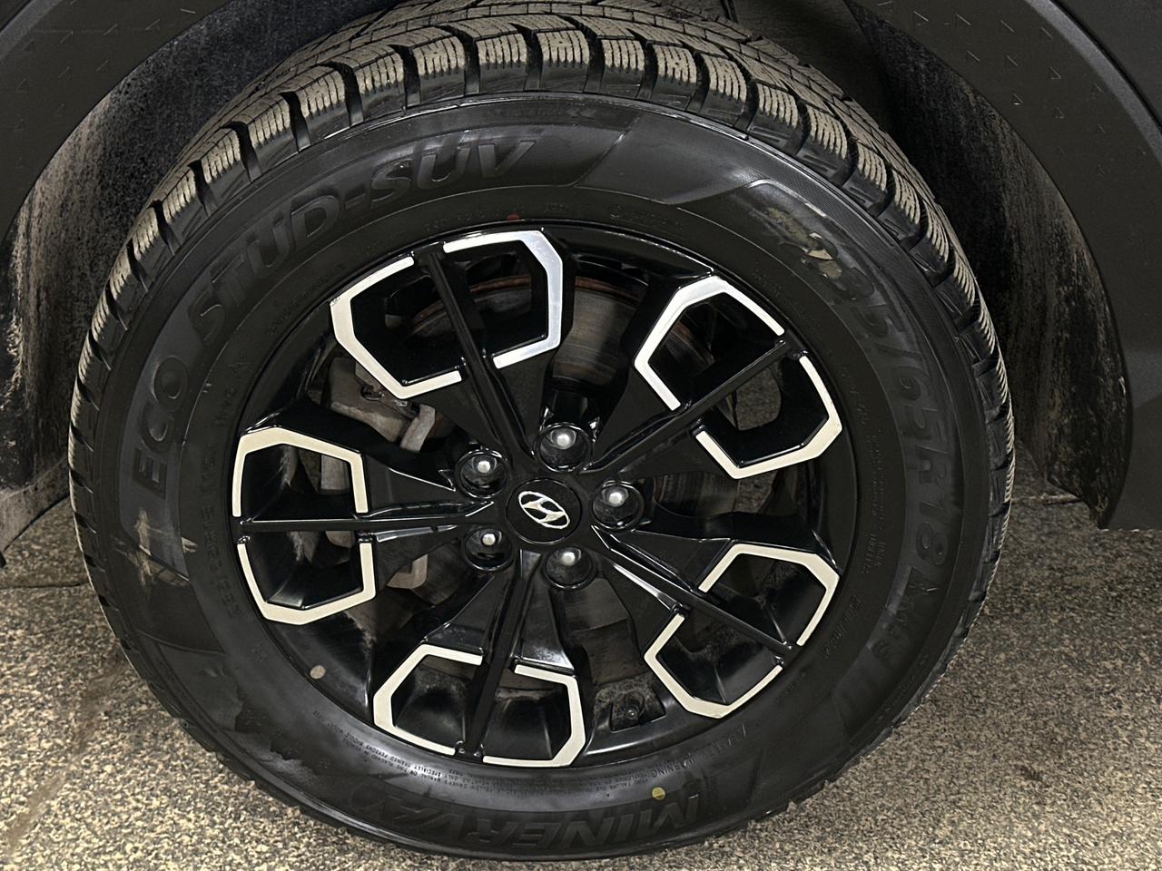 2024 Hyundai Santa Cruz Preferred Photo