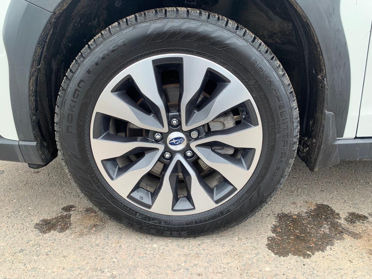 2024 Subaru Outback Premier XT 4dr All-Wheel Drive Photo