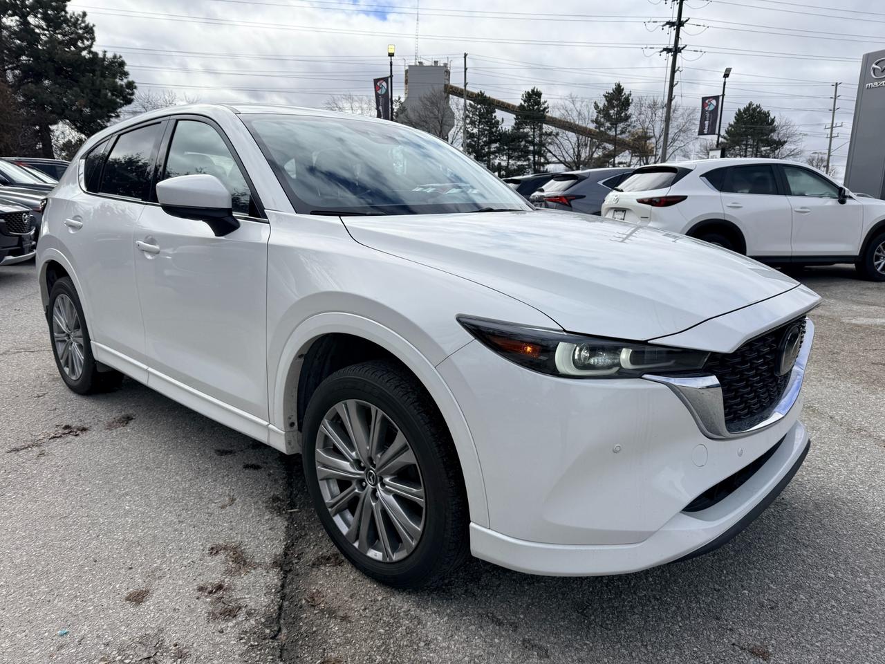 2023 Mazda CX-5 Signature 4dr i-ACTIV All-Wheel Drive Sport Utility Photo