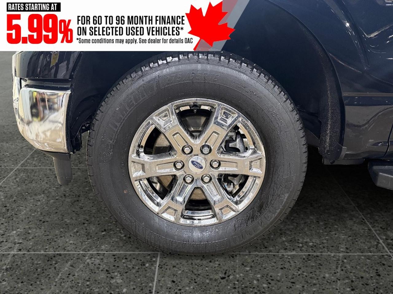 2023 Ford F-150 XLT 4WD SuperCrew 5.5' Box Photo