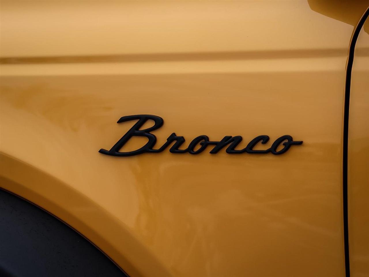 2021 Ford Bronco WILDTRAK 2 DOOR ADVANCED 4X4 Photo