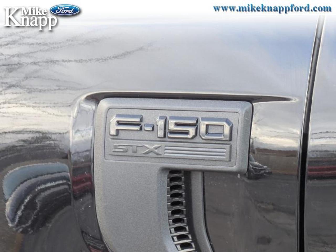 2026 Ford F-150 STX Photo
