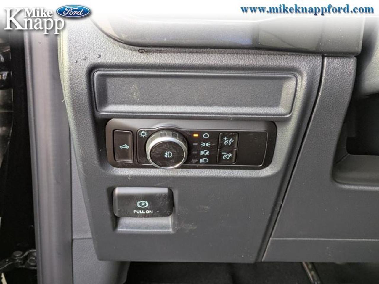 2026 Ford F-150 STX Photo