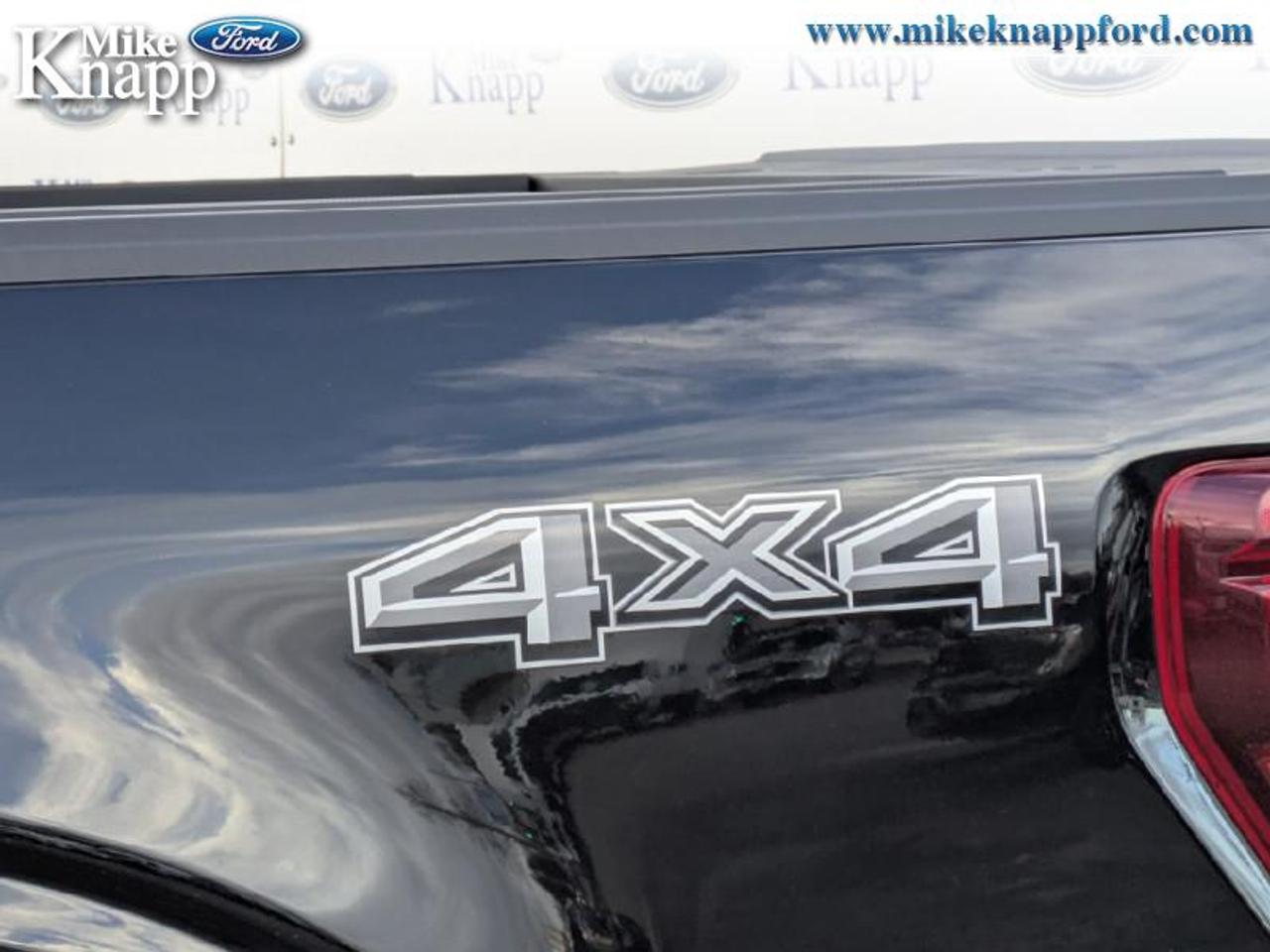 2026 Ford F-150 STX Photo