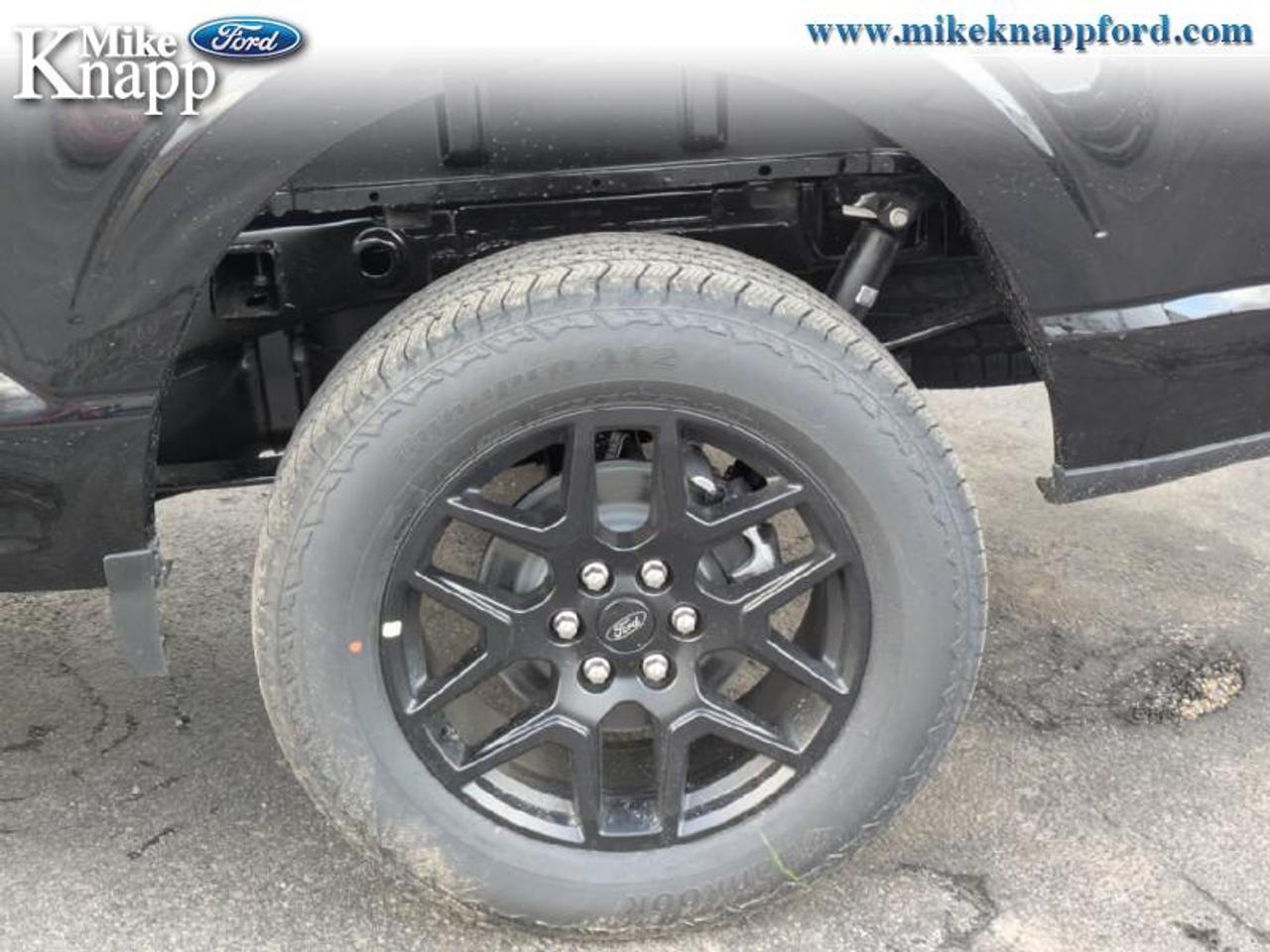 2026 Ford F-150 STX Photo