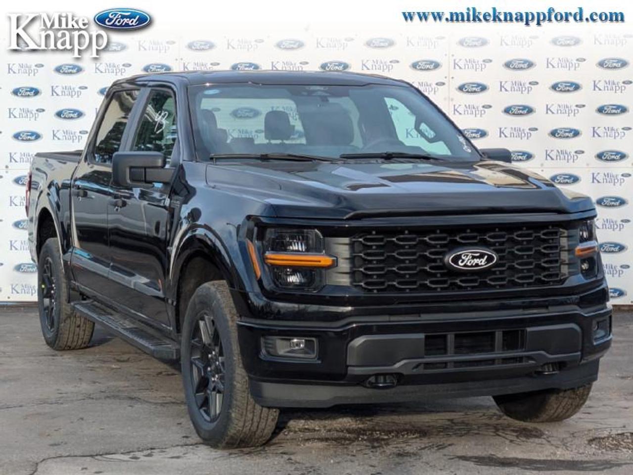 2026 Ford F-150 STX Photo