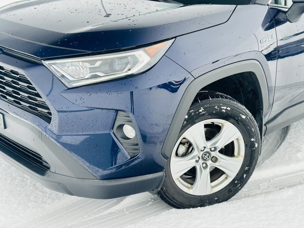 2019 Toyota RAV4 Hybrid XLE Photo