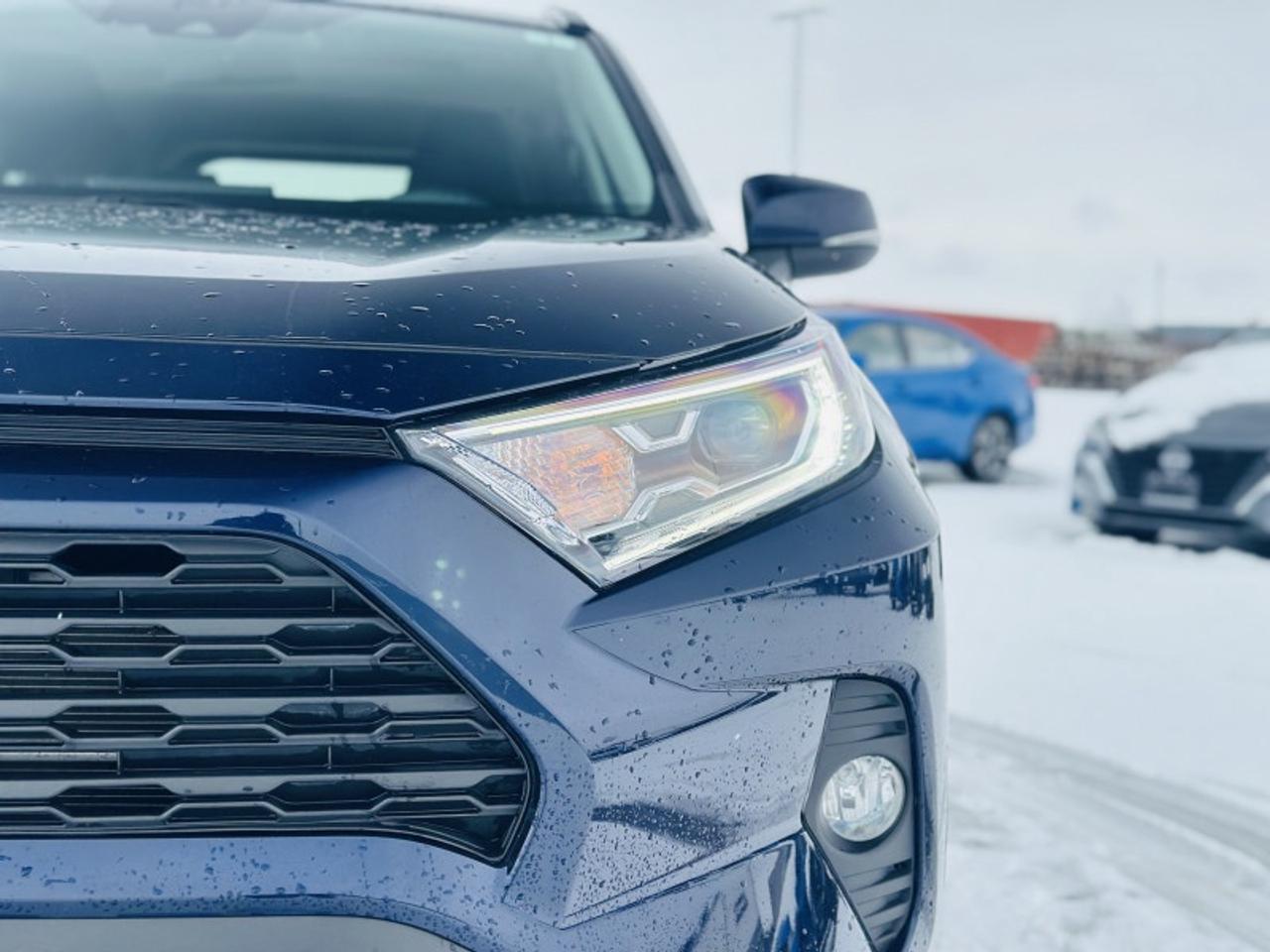 2019 Toyota RAV4 Hybrid XLE Photo