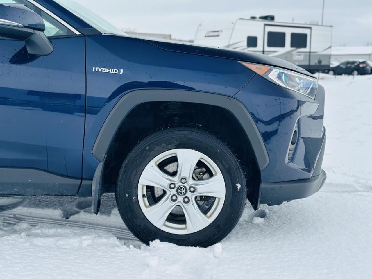 2019 Toyota RAV4 Hybrid XLE Photo