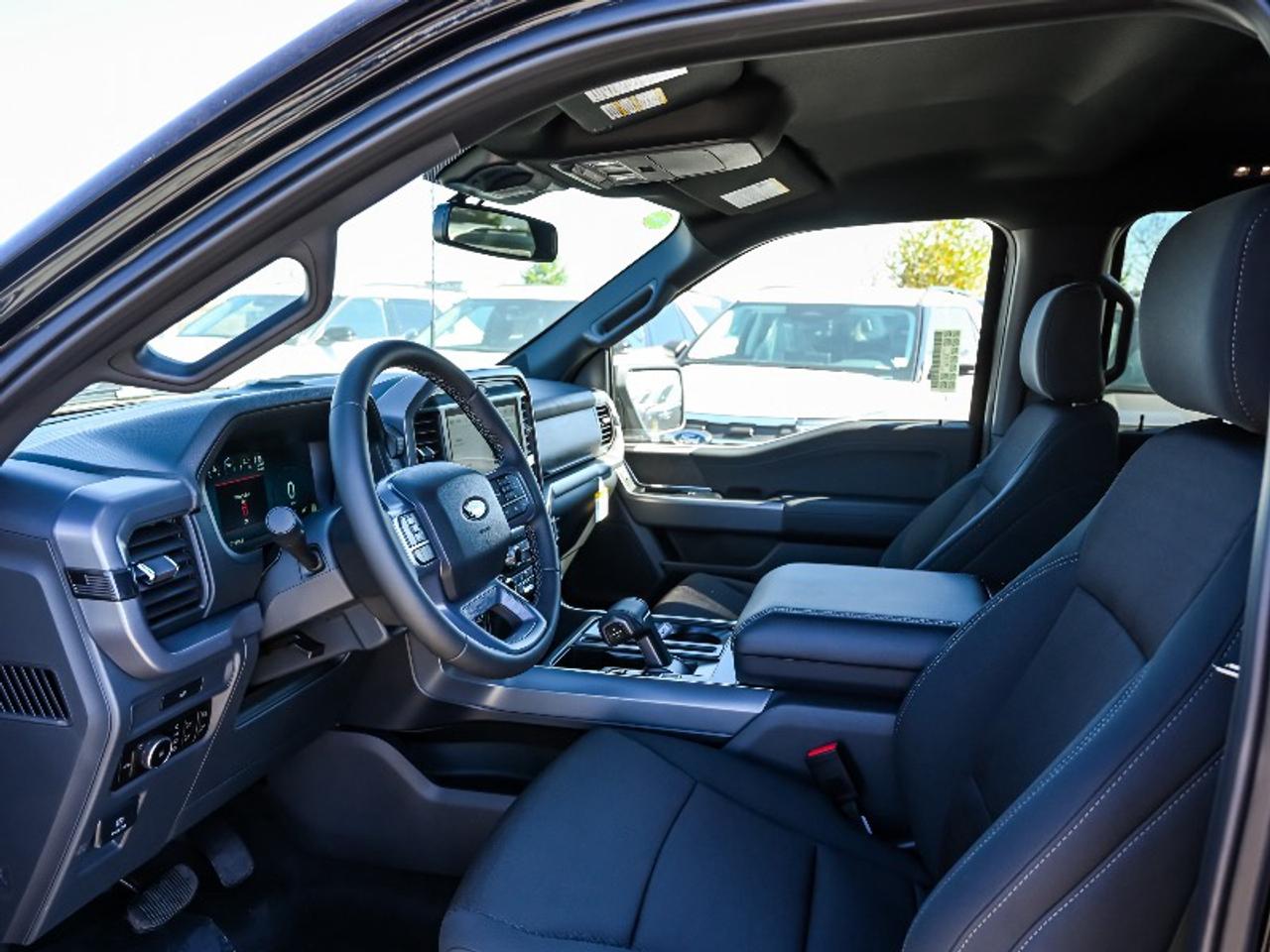 2026 Ford F-150 XLT Photo