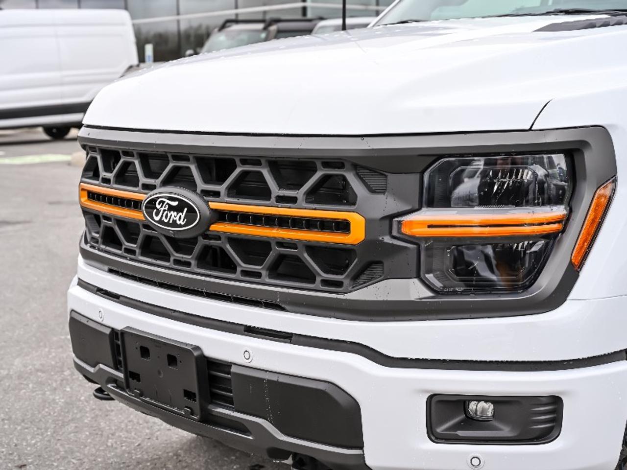 2026 Ford F-150 Tremor Photo