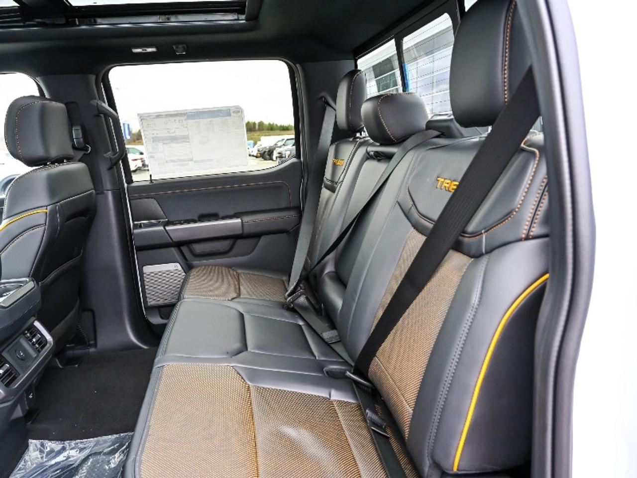 2026 Ford F-150 Tremor Photo