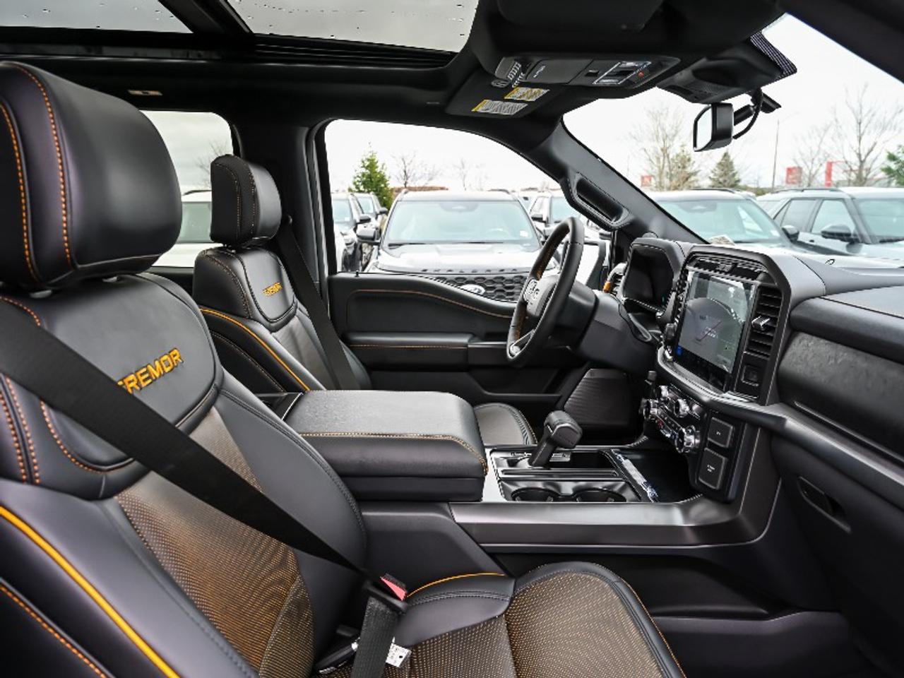 2026 Ford F-150 Tremor Photo
