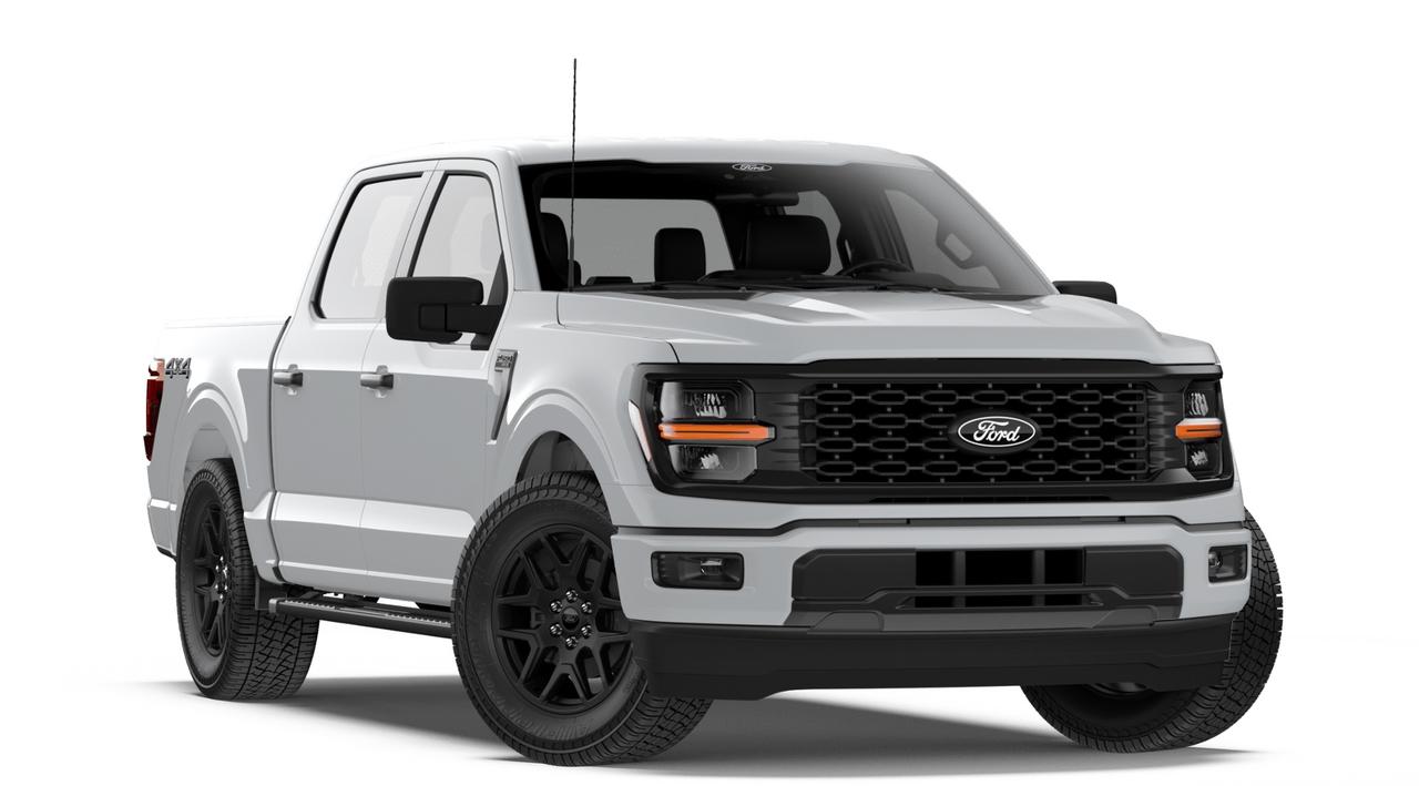 2026 Ford F-150 STX Photo