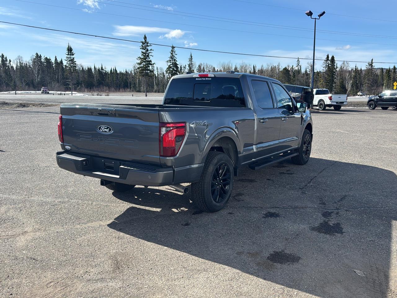 2026 Ford F-150 XLT Photo