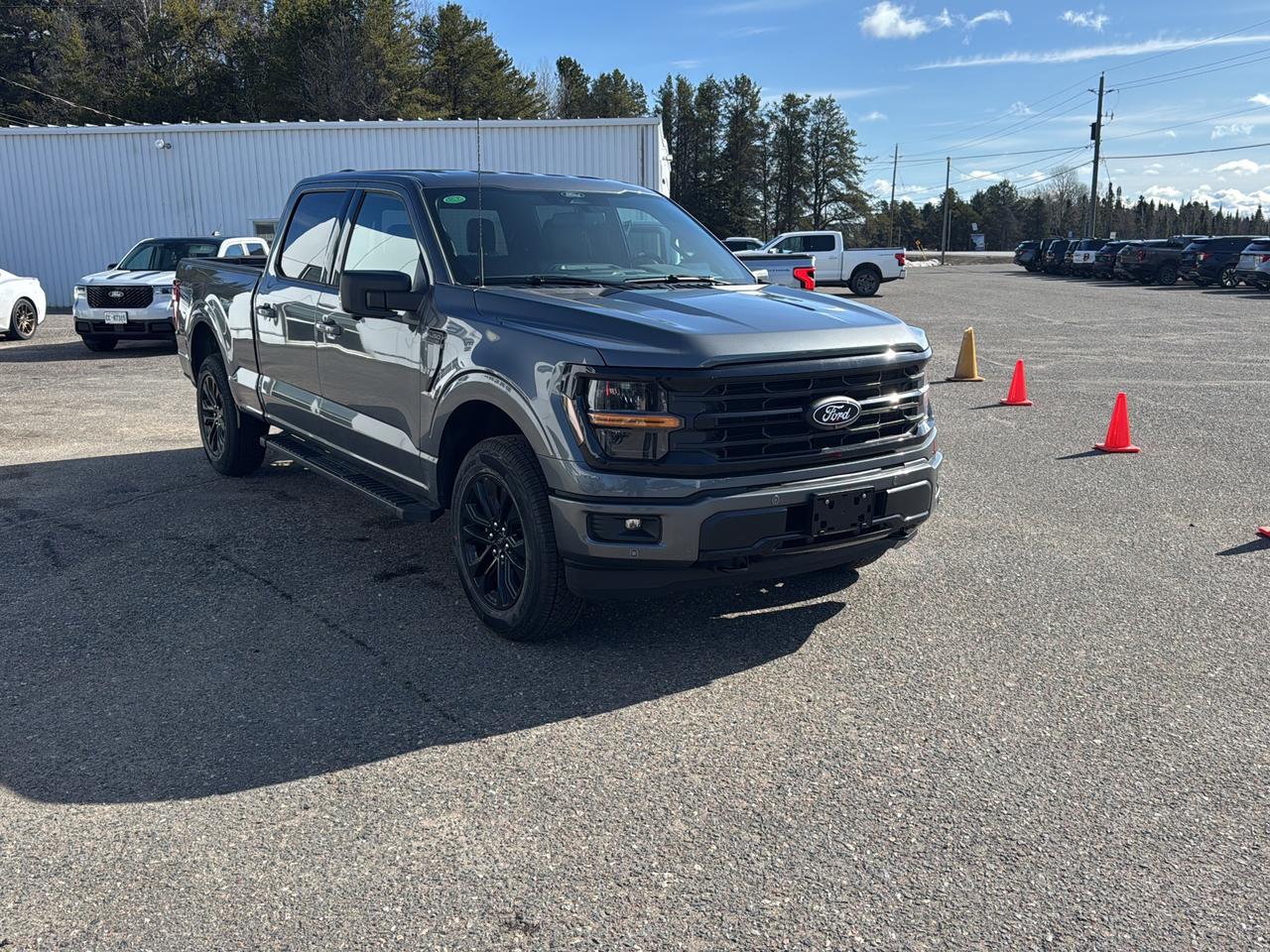 2026 Ford F-150 XLT Photo