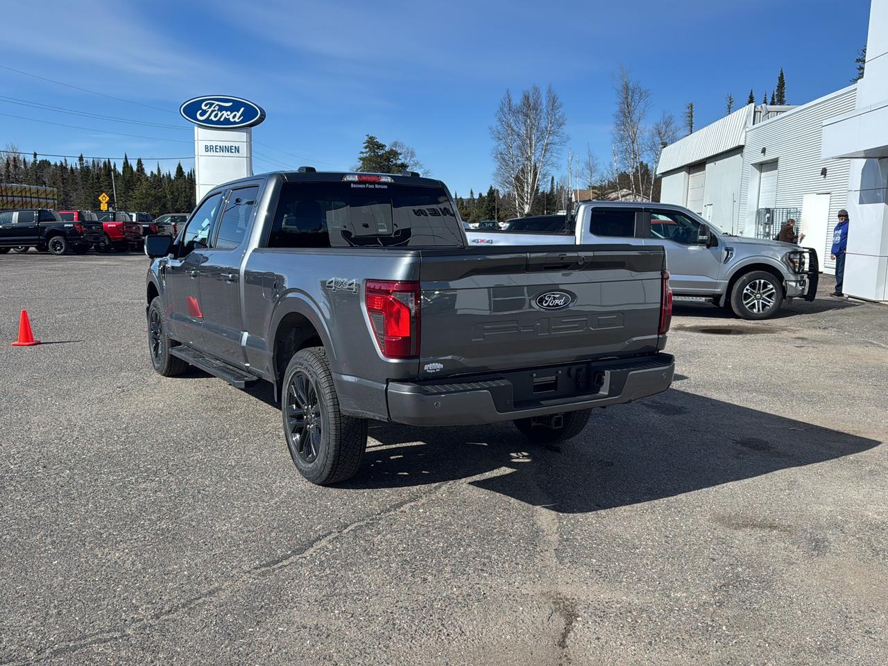 2026 Ford F-150 XLT Photo