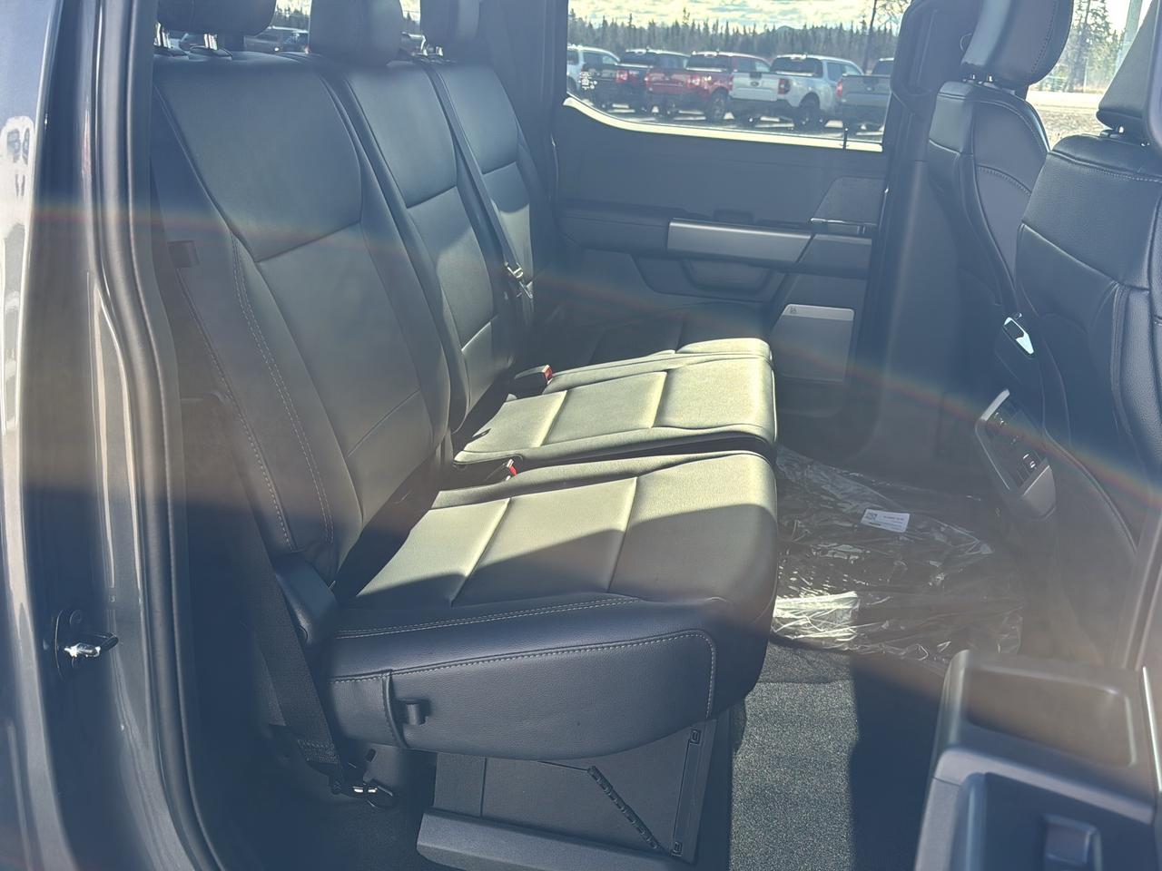 2026 Ford F-150 XLT Photo