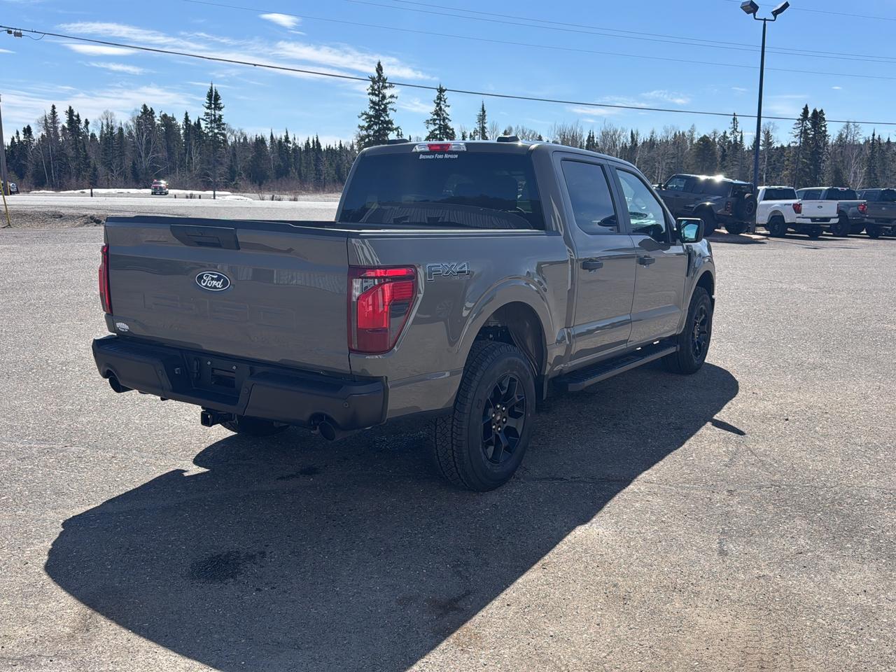 2026 Ford F-150 STX Photo4