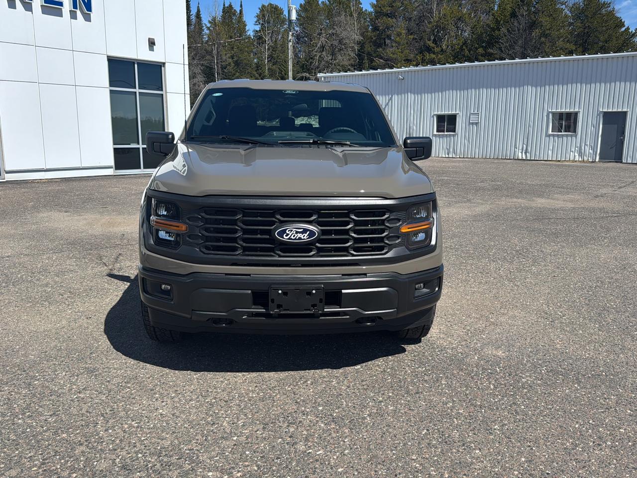 2026 Ford F-150 STX Photo