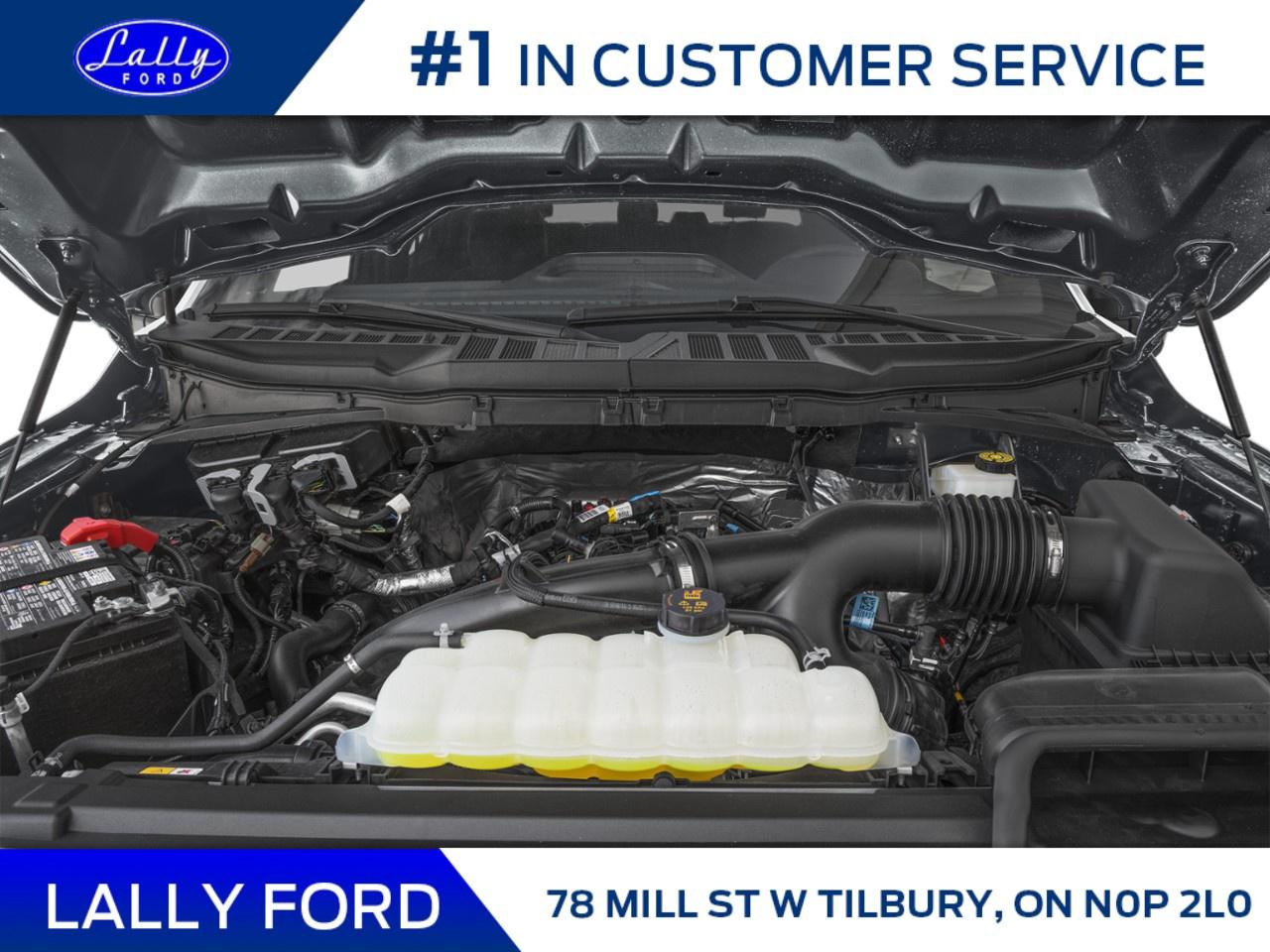 2026 Ford F-150 STX 4WD SuperCrew 5.5' Box Photo