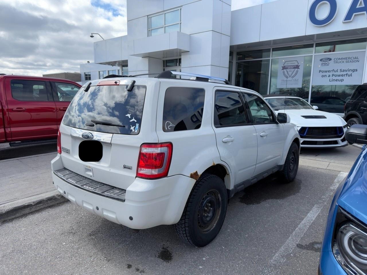 2011 Ford Escape Limited INCOMING|WHITE SUEDE|BLACK LEATHER|3.0L V6|VOICE ACTIVATED TOUCH-SCREEN NAVIGATION Photo
