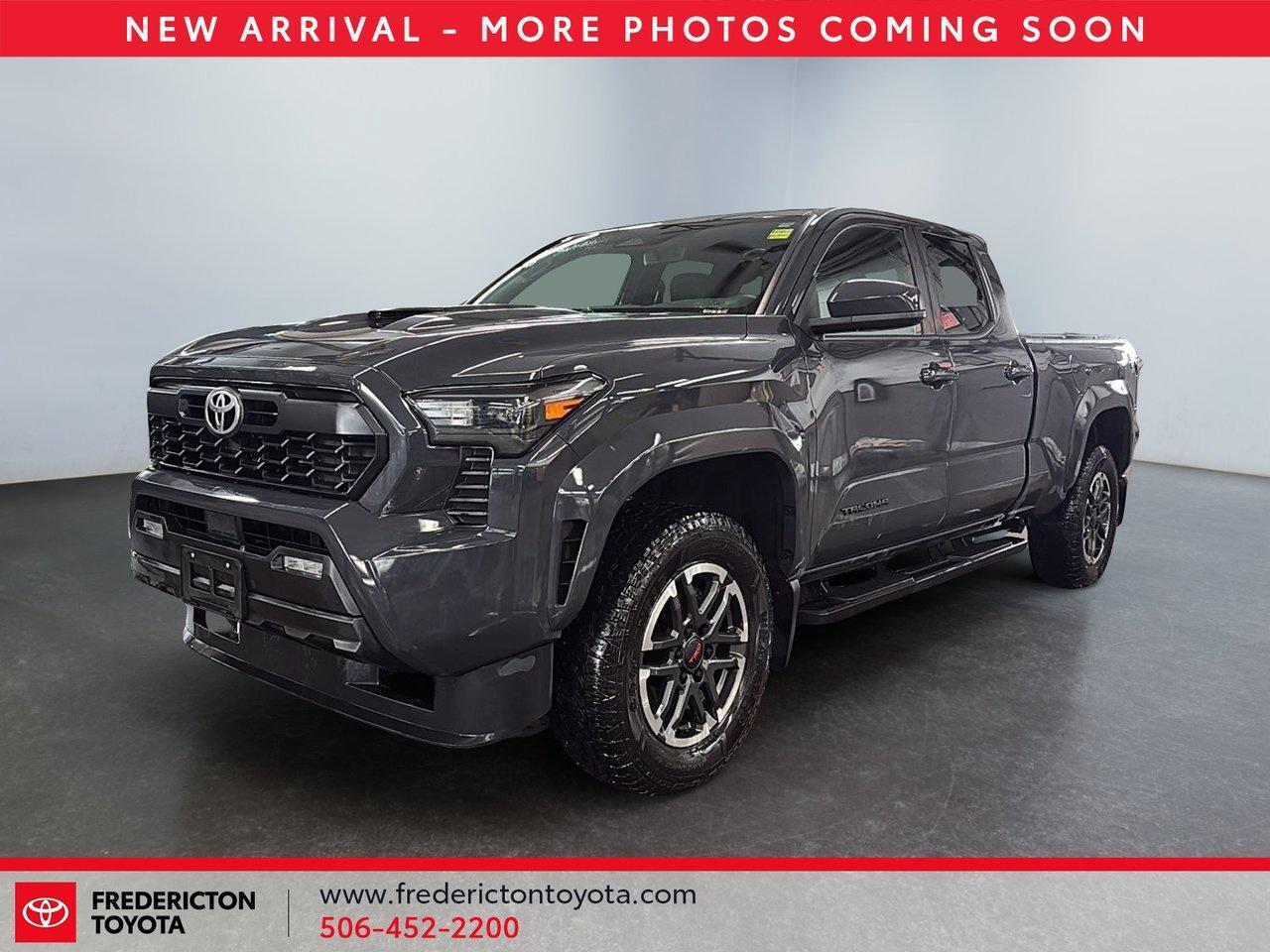 2024 Toyota Tacoma  Photo0