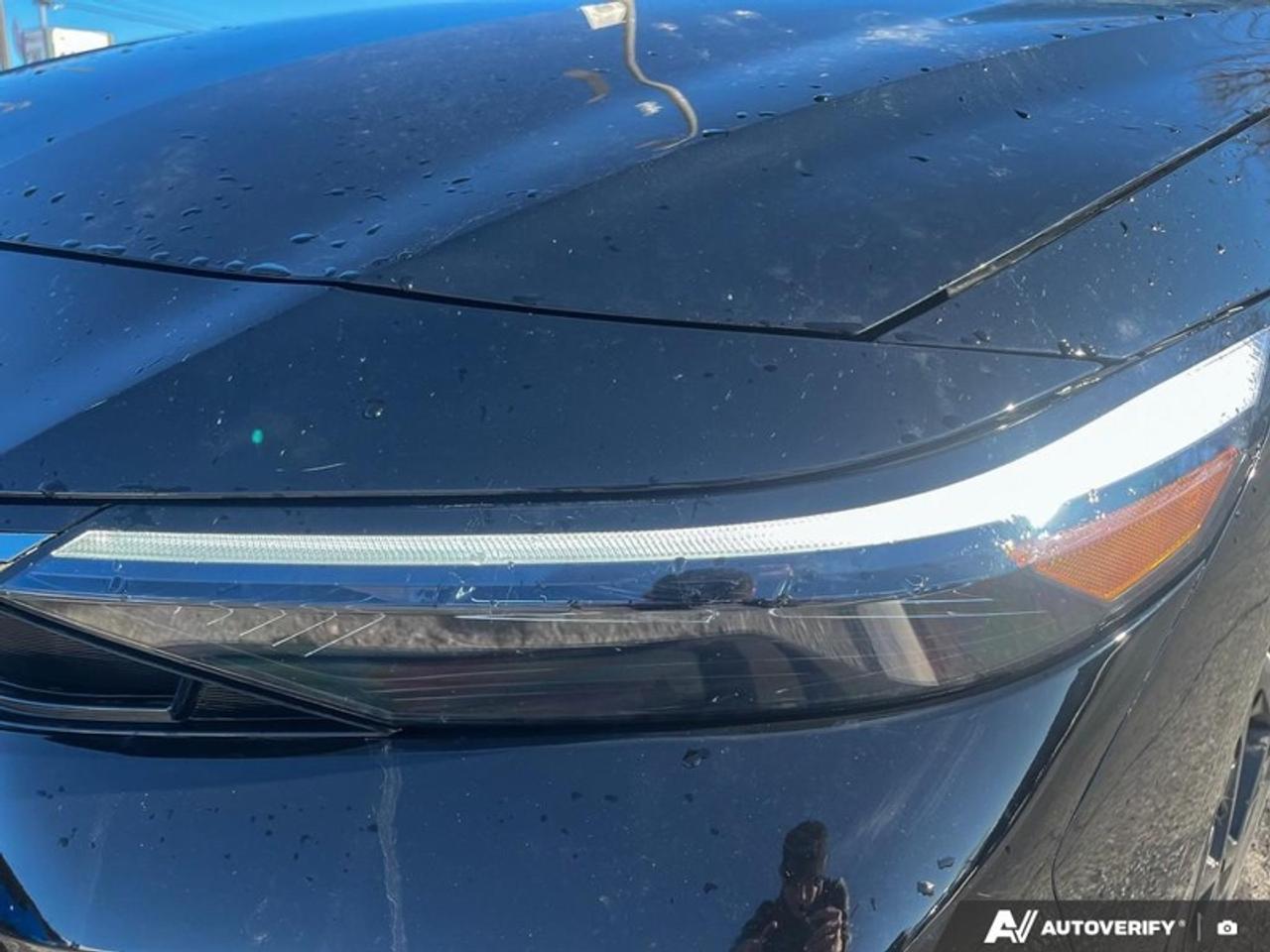 2025 Hyundai Elantra N Line Ultimate DCT  ULTIMATE N LINE SUNROOF Photo
