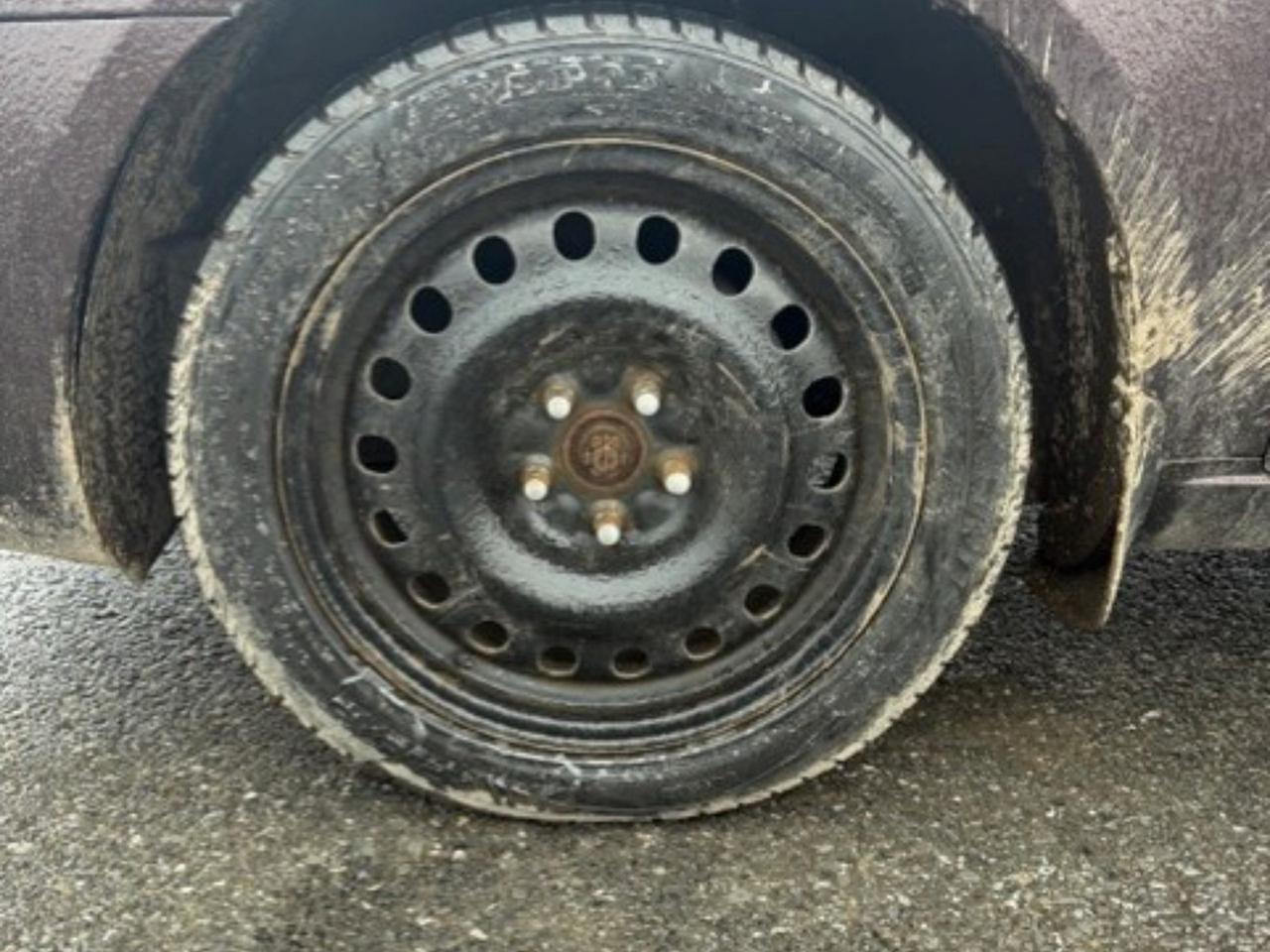 13751341