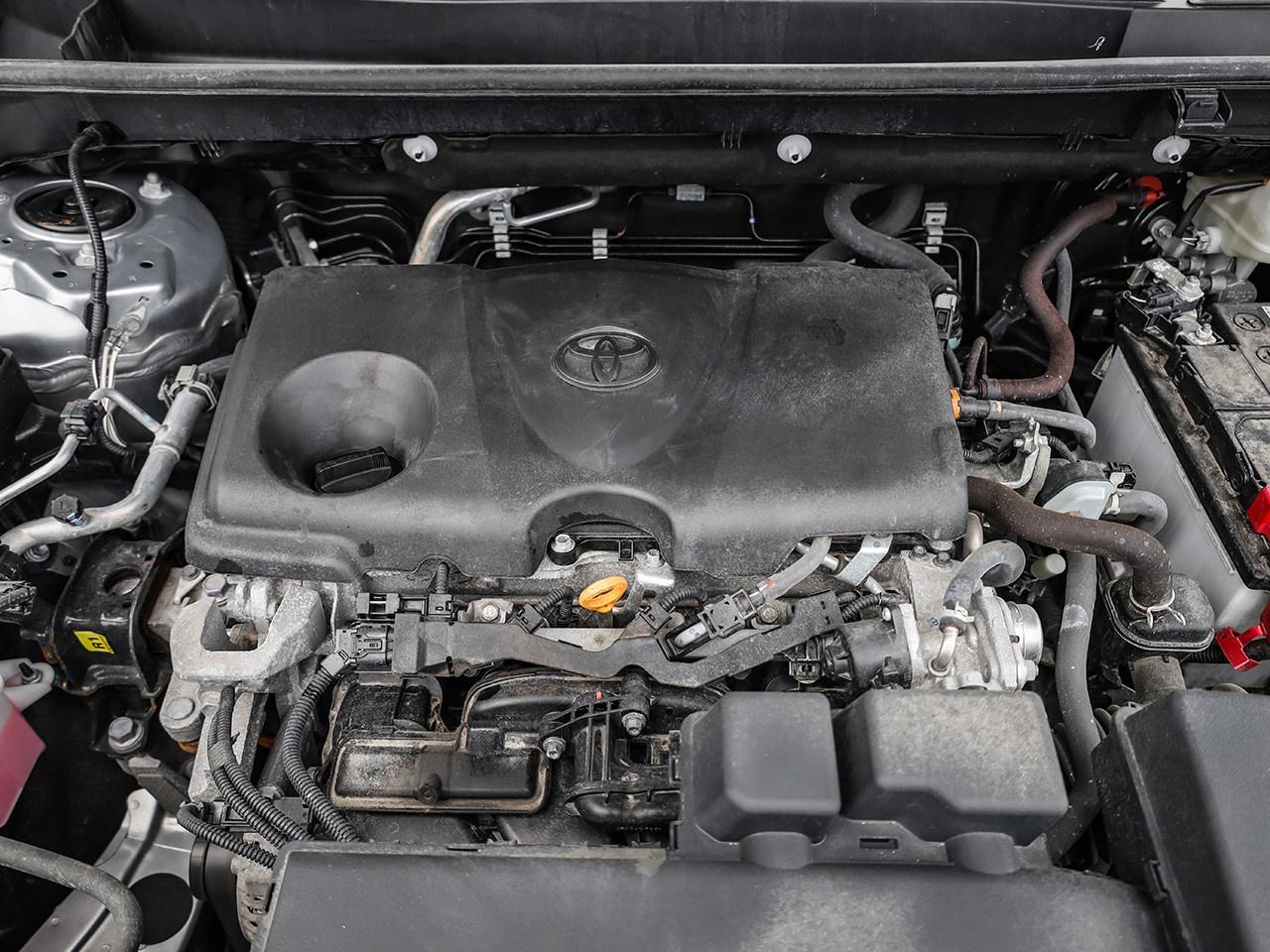 2023 Toyota RAV4 LE Photo3