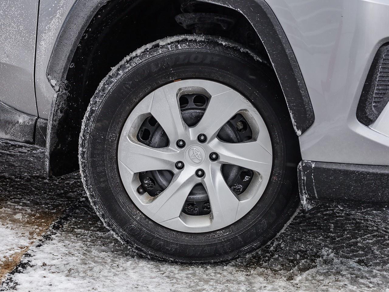 2023 Toyota RAV4 LE Photo