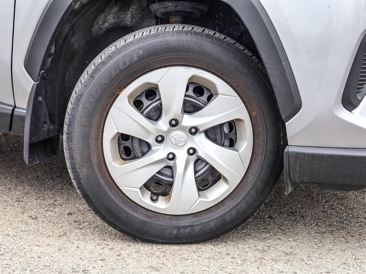 2023 Toyota RAV4 LE Photo