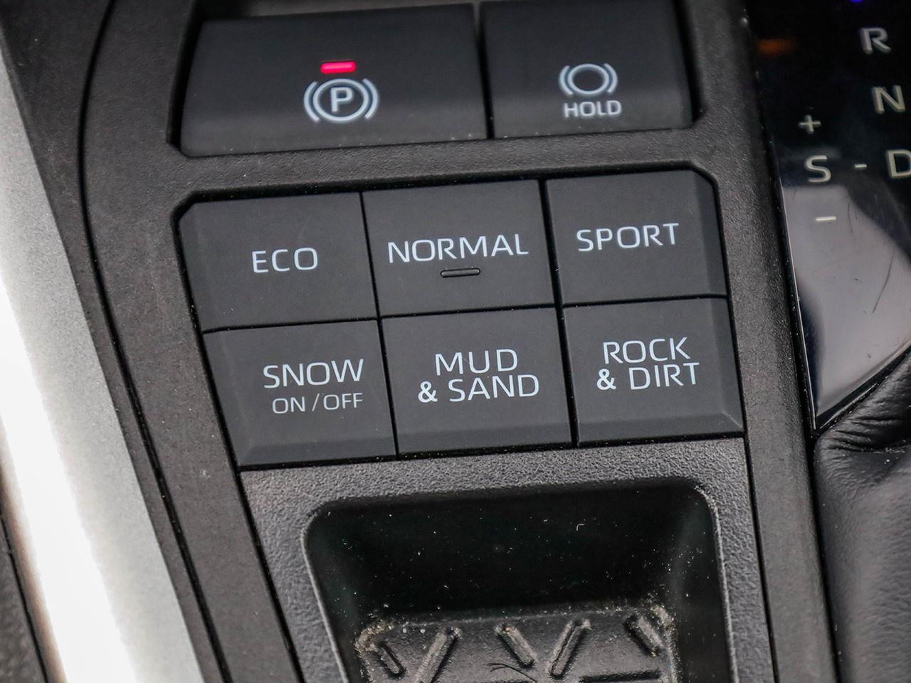 2023 Toyota RAV4 LE Photo