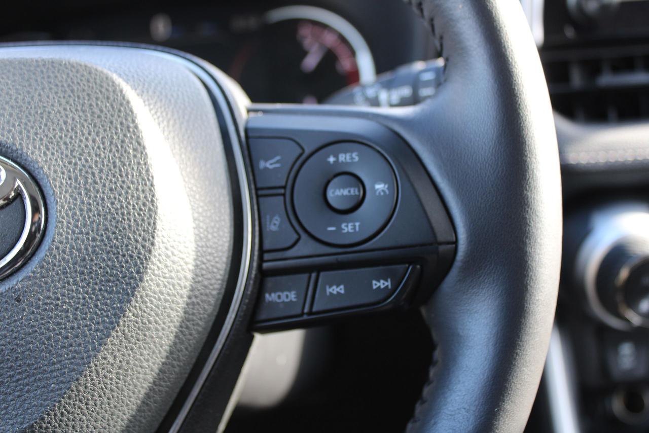 2025 Toyota RAV4 XLE Photo