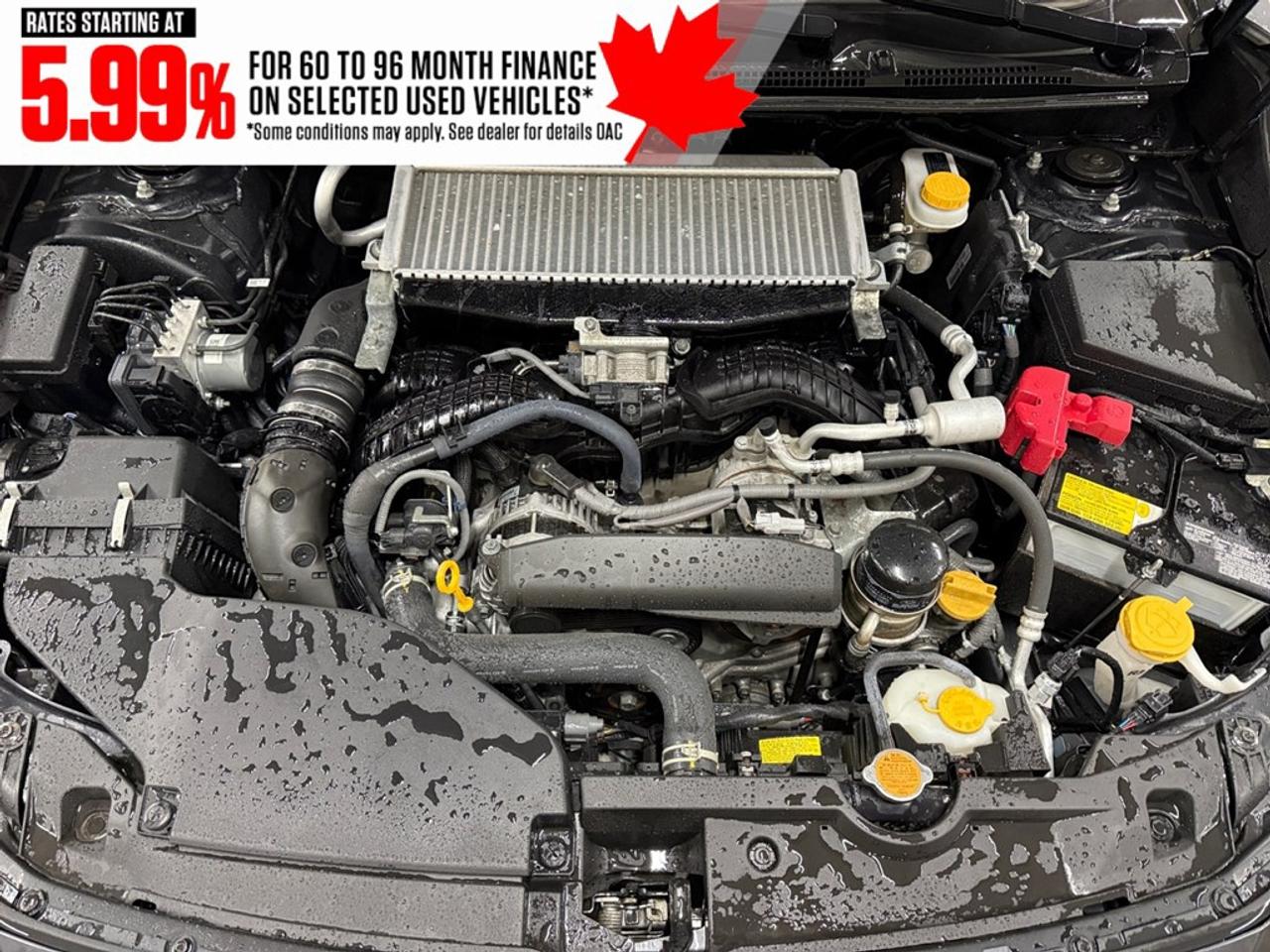 2023 Subaru WRX Manual Photo