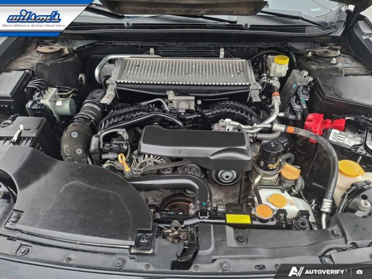 2020 Subaru Legacy Premier GT AWD | Nappa Brown Leather | Cooled Seats | Sunroof | Nav | Rear Cam | Photo