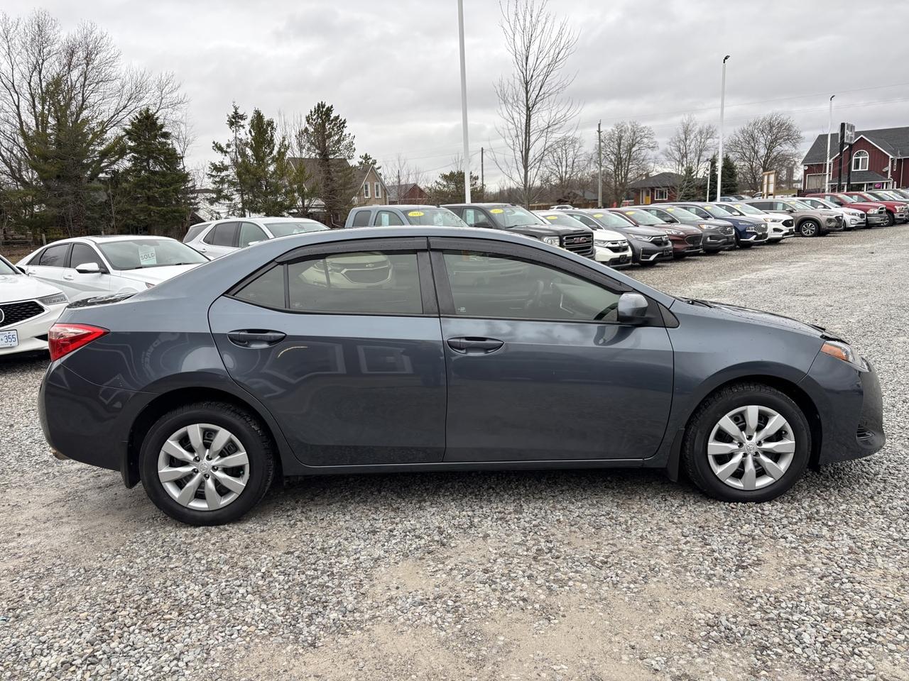 2017 Toyota Corolla L CVT Photo