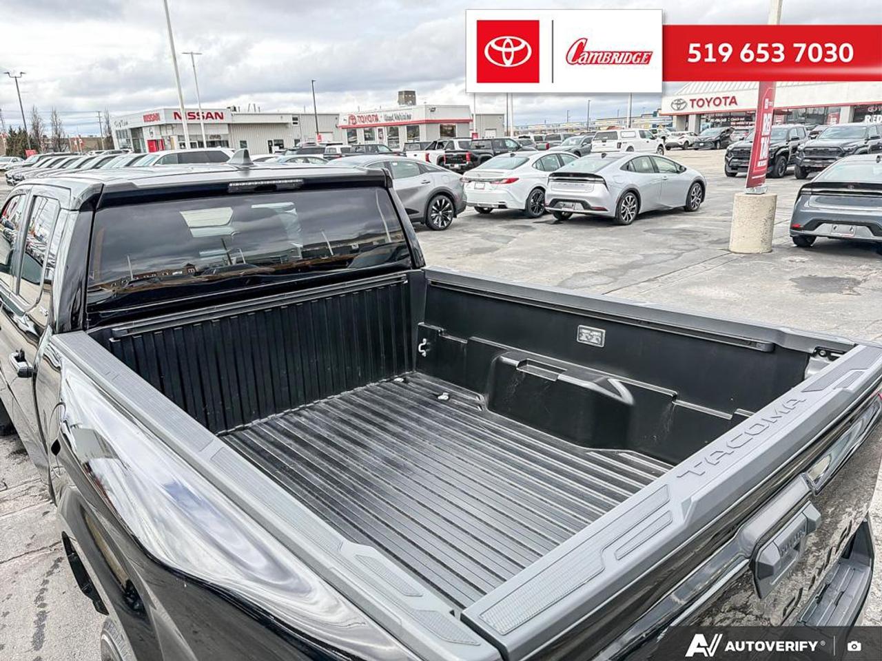 2024 Toyota Tacoma  Photo