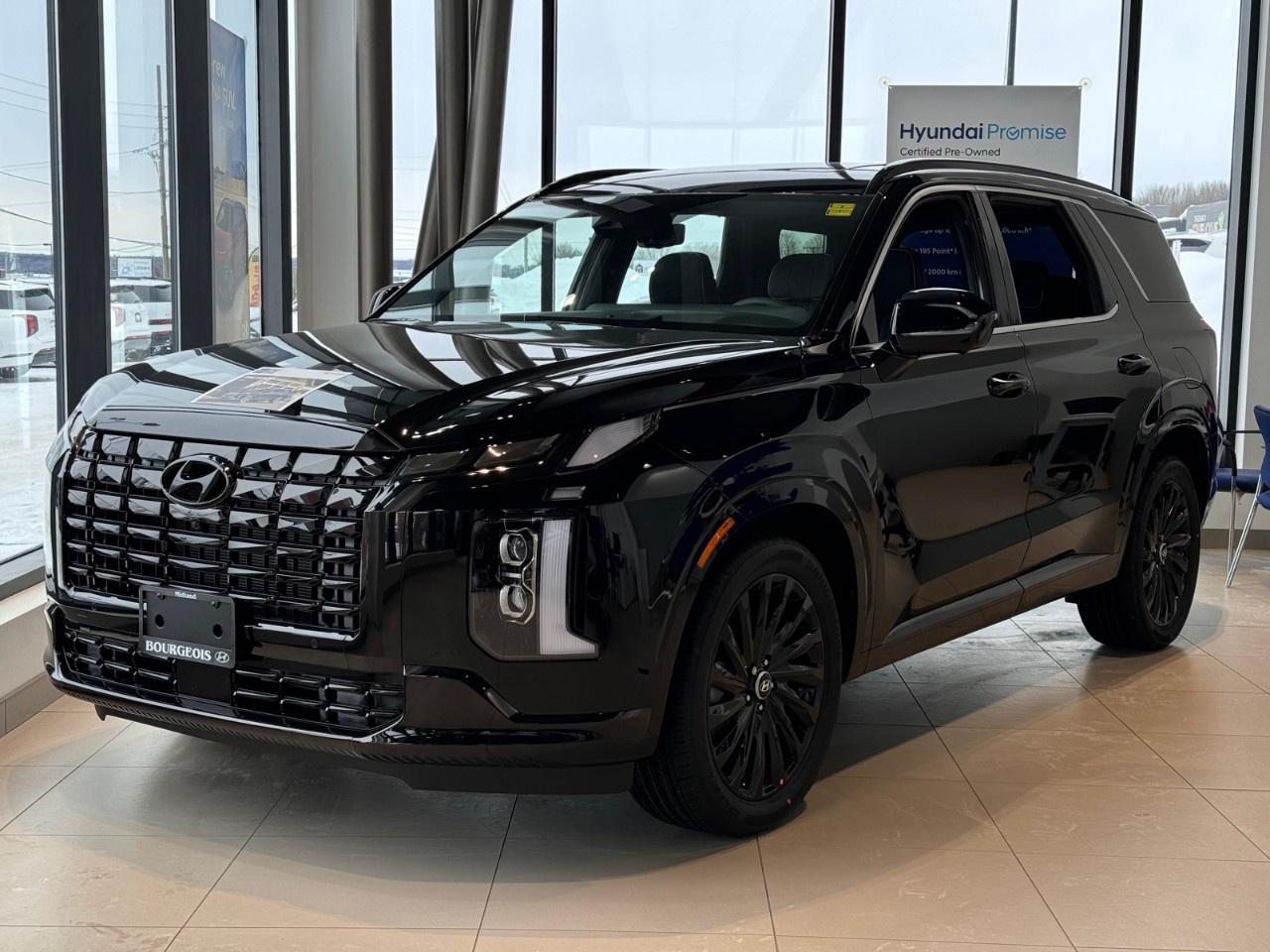2025 Hyundai PALISADE  Photo