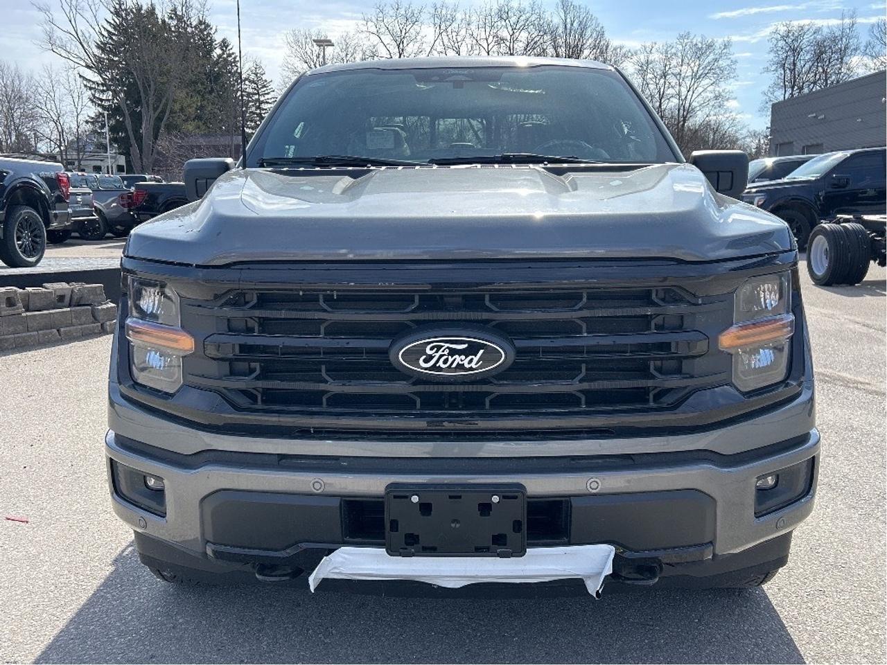 2026 Ford F-150 XLT 4WD SuperCrew 5.5' Box 303A Photo