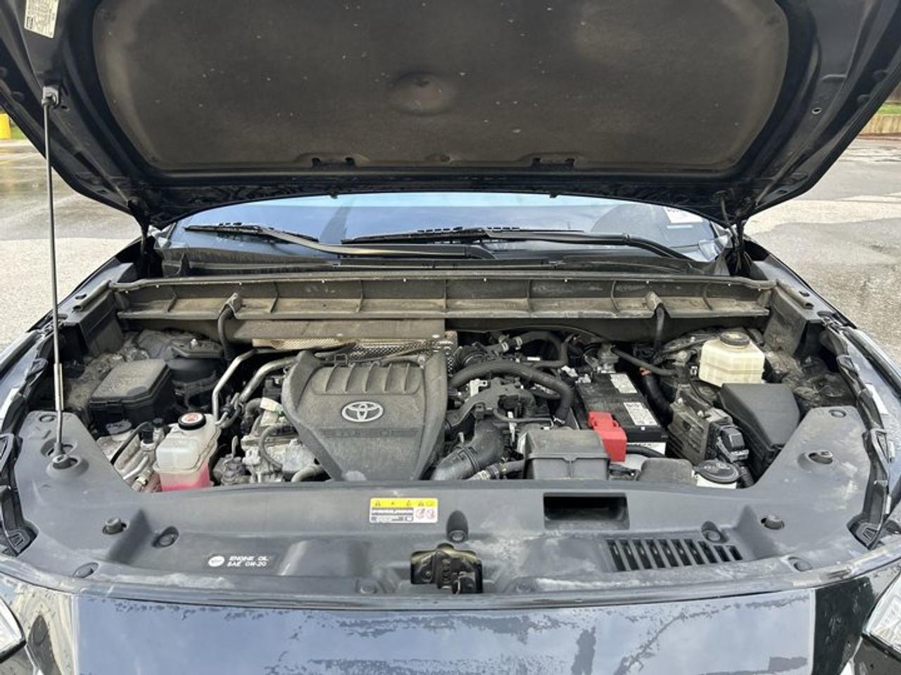 2023 Toyota Highlander LE AWD | No accidents Photo