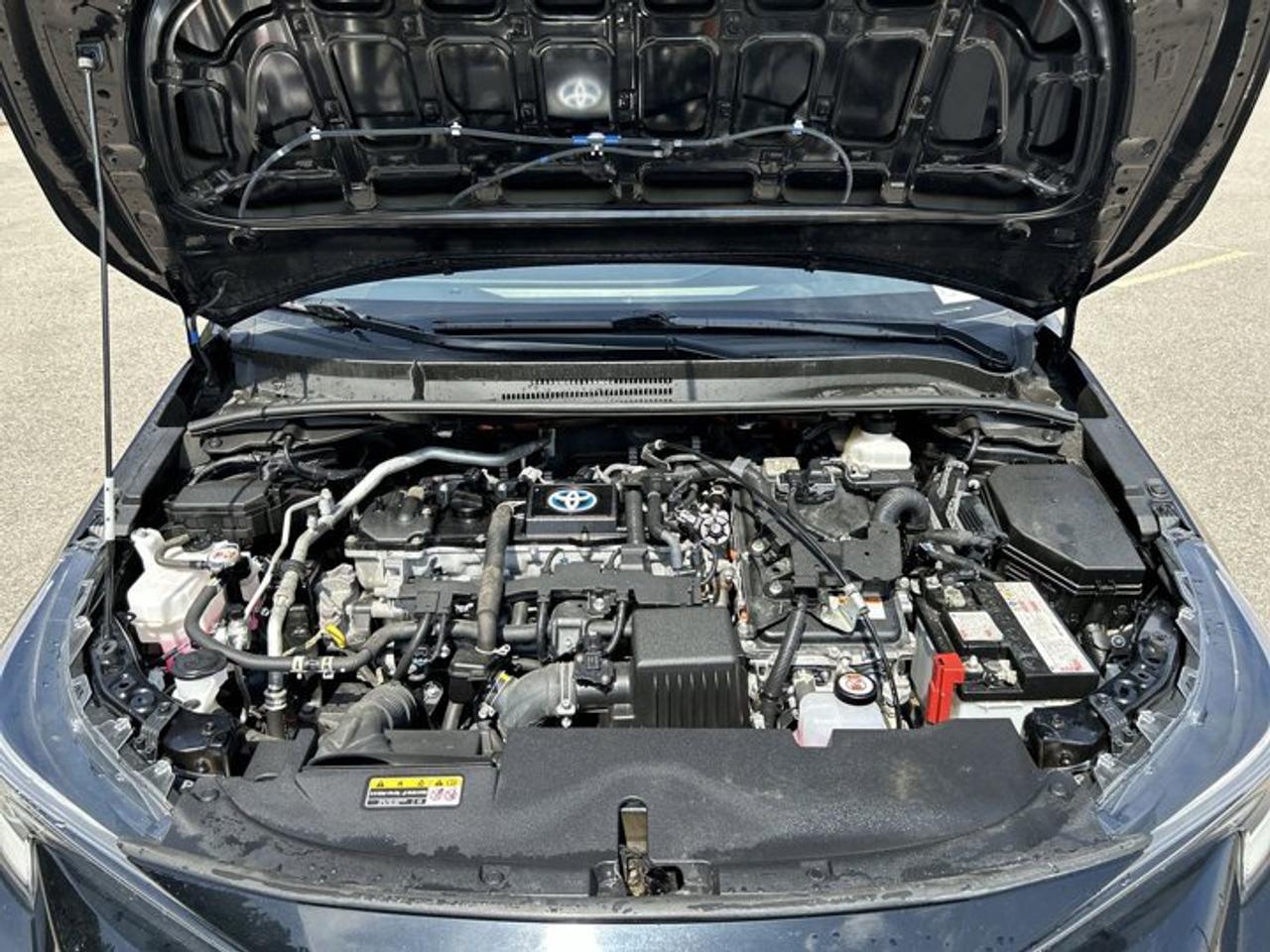 2023 Toyota Corolla Hybrid LE AWD | No accidents Photo