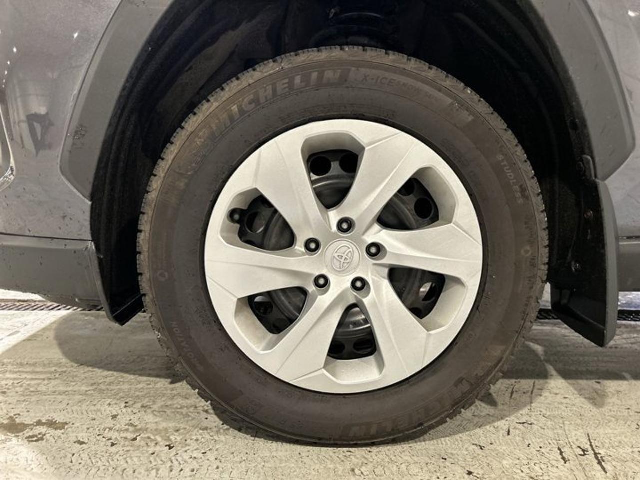 2023 Toyota RAV4 LE AWD Photo